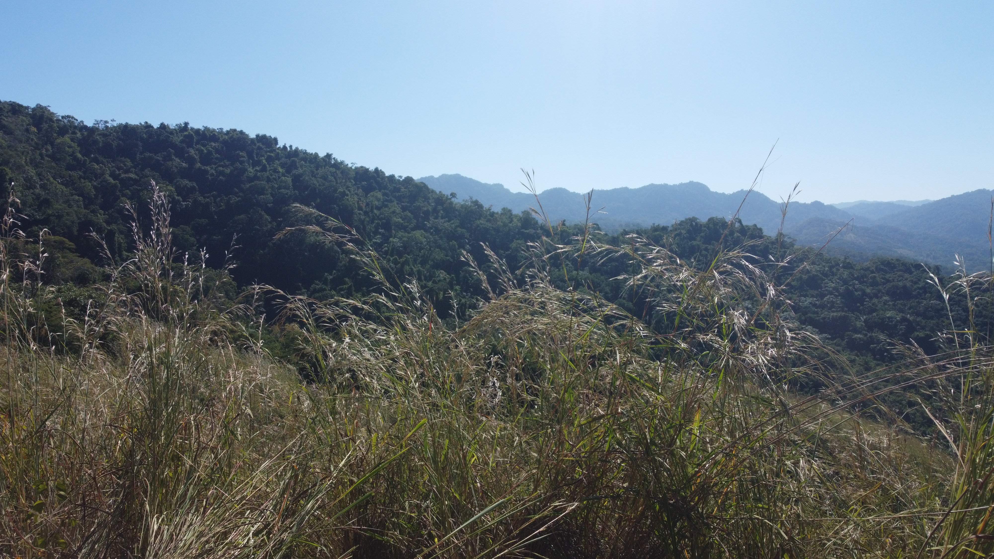 DJI_0396